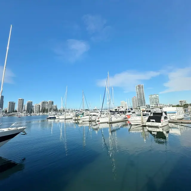 海洋巨獸：在衝浪者天堂體驗驚險刺激的賞鯨之旅 