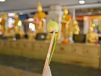 แวะไหว้พระที่วัดเพชรสมุทรวรวิหาร หลวงพ่อบ้านแหลม