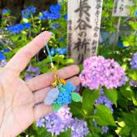 東京旅遊🍀鎌倉一日遊！長谷寺繡球花之旅