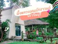 Pungluang ผึ้งหลวงรีสอร์ท