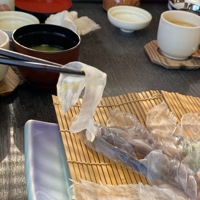 透明すぎる！呼子のイカの活造り