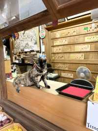 【福岡 小郡】かえると風鈴がいっぱいの寺🐸🎐