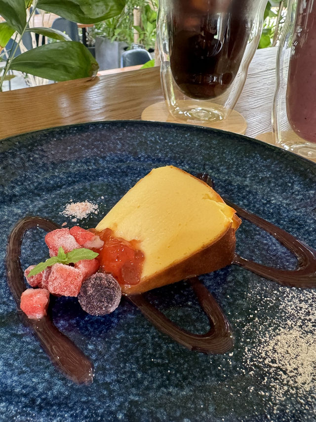 【福岡カフェ】室内なのにグリーンがいっぱいの癒し系カフェ🌿
