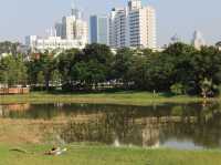 深圳｜週末去遠一點的地方逛逛、放風箏