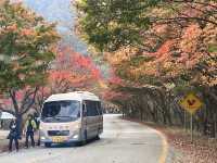 韓國｜內藏山賞楓之旅！車程很久但值得一訪