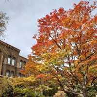 札幌景點｜北海道賞楓、賞銀杏一級戰區—北海道大學