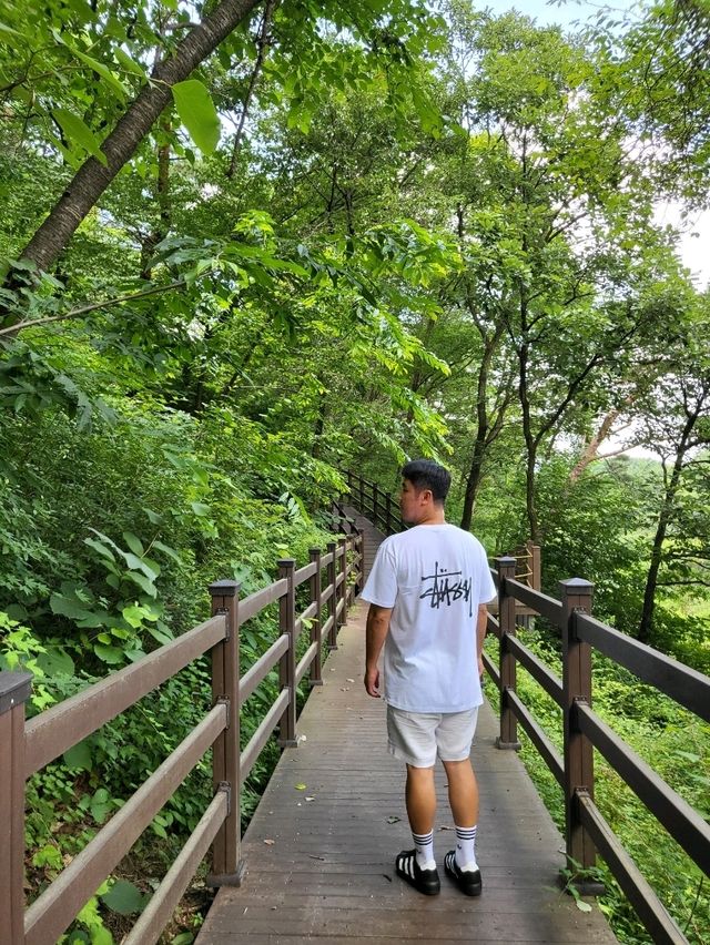 가을산책하기 좋을 원주 무료입장 수목원