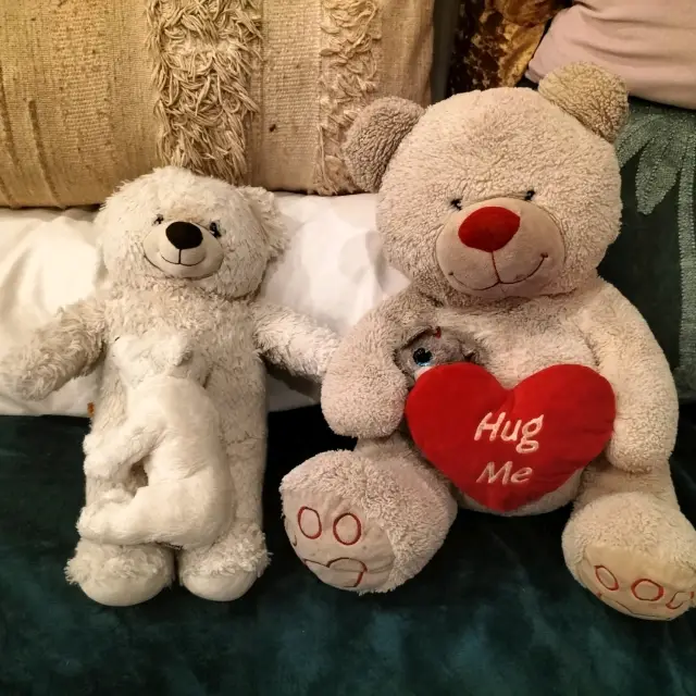 A week with friends! 🐻🐼🐻❄️