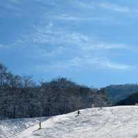 🏂 滑雪天堂：富良野滑雪場🎿