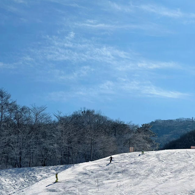 🏂 滑雪天堂：富良野滑雪場🎿