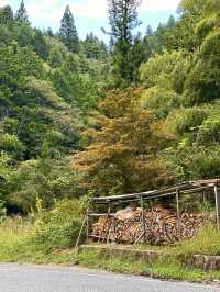 October in Nakatsugawa: A Perfect Autumn Getaway 🍂