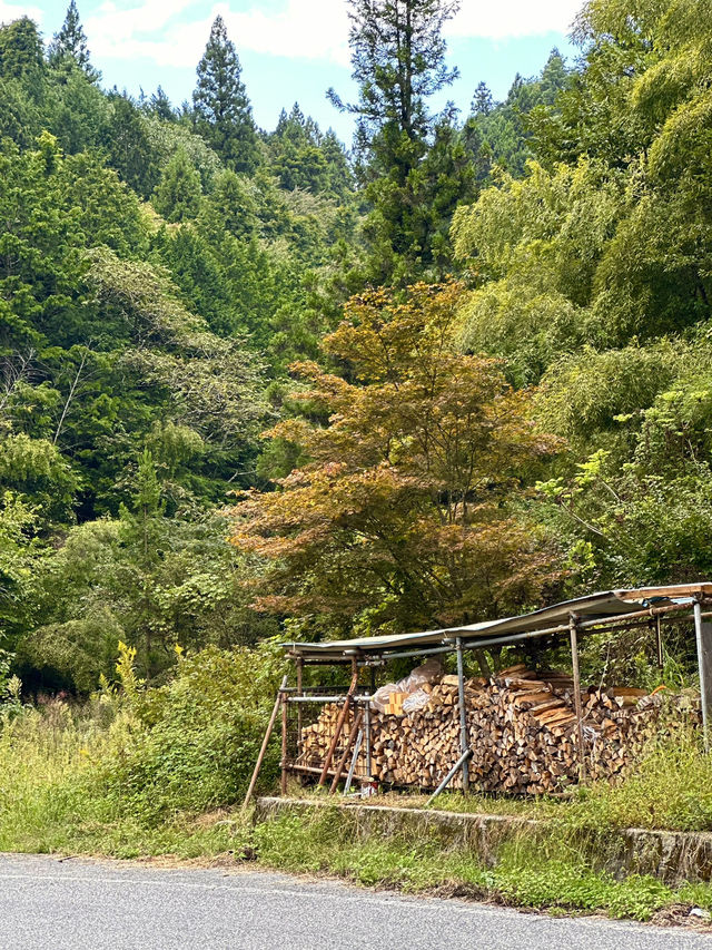 October in Nakatsugawa: A Perfect Autumn Getaway 🍂