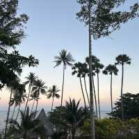【サムイ島🏝️】ココナッツアイランドのホテル