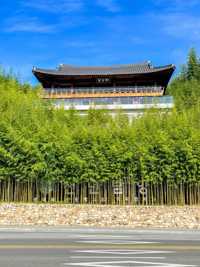 싱그럽고 청량한, 산책하기 좋은 곳 ‘죽녹원’