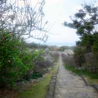 【今帰仁城跡:沖縄県今帰仁村】沖縄の古代城跡が残る場所✨