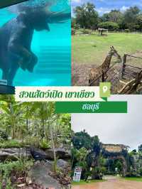 สวนสัตว์เปิดเขาเบียว