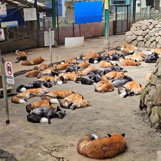 藏王交通不便，參加一日遊很方便