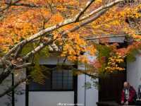 วัดนินนาจิ (Ninnaji)