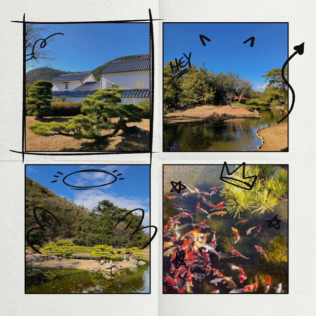 旭山三浦庭園：小橋流水中的日式幽靜 🌸🏞️