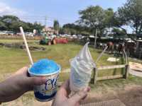 まかいの牧場@静岡・富士宮🐏