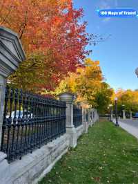 🇨🇦 Autumn at Rideau Hall
