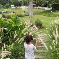 BUCOLIC KHAO YAI | คาเฟ่กลางหุบเขา✨🌳