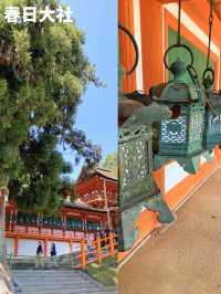【歴史と自然を感じる古都🍁奈良旅🦌】