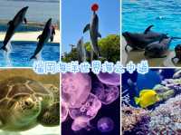 海洋世界海之中道-福岡最受歡迎的的海洋世界與水族館