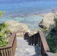 ［小琉球］花瓶岩與其生態海域和潮間帶🌊