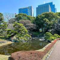 Very impressive garden & a must visit spot in Tokyo.