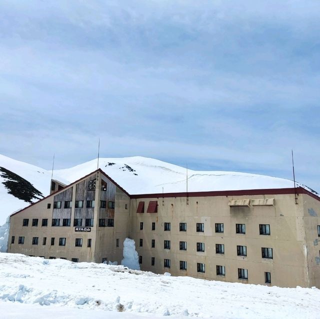 室堂雪之大谷，壯麗雪牆奇景。