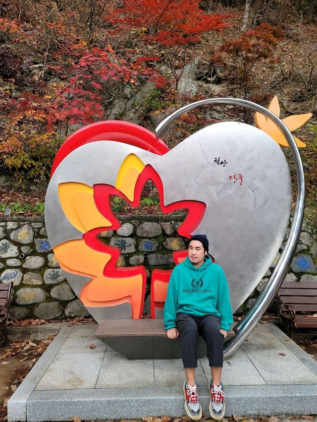 가장 빠른 단풍을 볼수 있는 시월의 단풍여행지🍁
