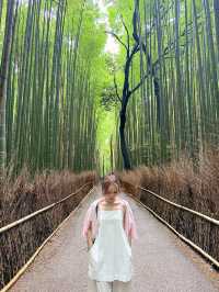 京都嵐山🎋值得你留下時間半日慢遊