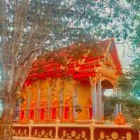 🙏ไหว้พระ ทำบุญ ⛩️วัดบางปรือตราด🌵