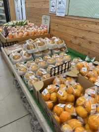 【佐久市】開店前から行列ができる人気の道の駅🍎