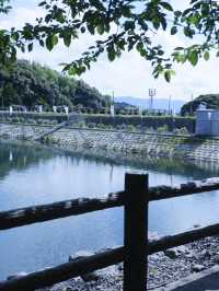 名古屋愛知縣：紫陽花之里