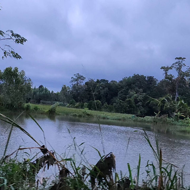วัดป่าสุคะโตธรรมชาติพักใจ