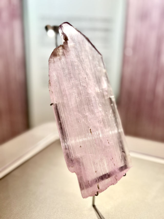 礦石奇珍展覽@ L'ÉCOLE School of Jewelry Arts