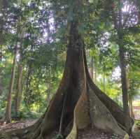 Planning a Camping Adventure in Taman Negara National Park