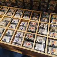 Exploring the Mugiwara Store in Tokyo Tower!