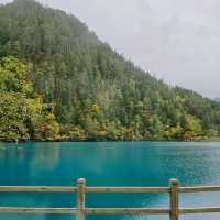 ที่นี่จิ่วจ้ายโกว : ธรรมชาติแดนมังกร 🏞