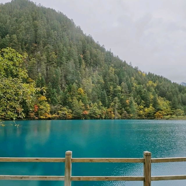 ที่นี่จิ่วจ้ายโกว : ธรรมชาติแดนมังกร 🏞