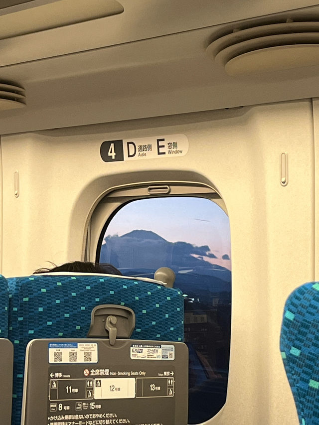 하코네 온천 여행🚞