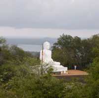 Mihinrale: exploration of Buddha statues and monkeys