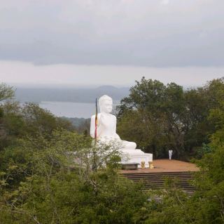 Mihinrale: exploration of Buddha statues and monkeys