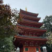 福岡旅遊 15.11.2024