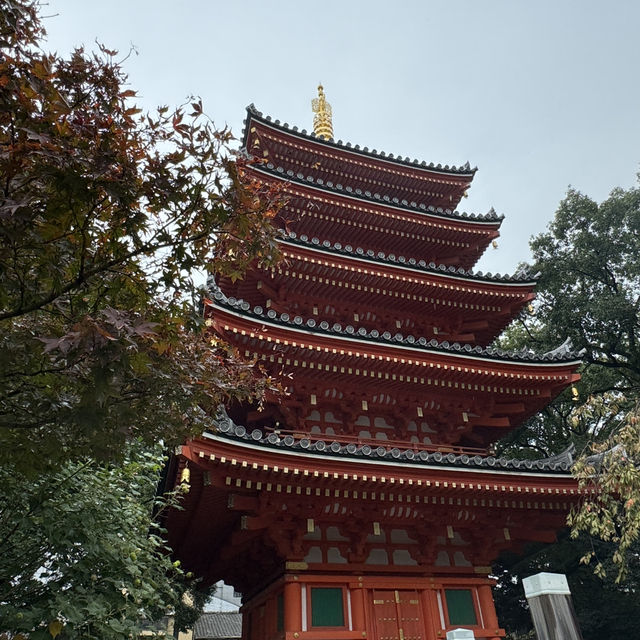 福岡旅遊 15.11.2024