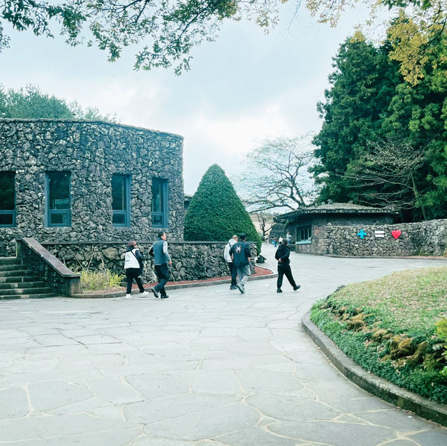 가장 아름다운 제주의 마르형 화구, 산굼부리