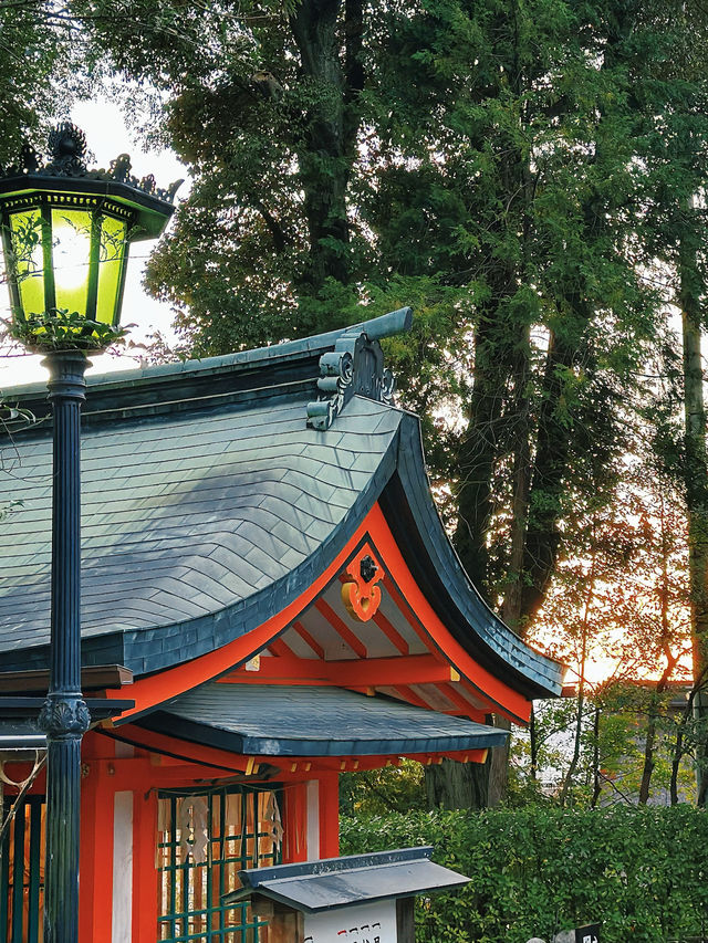 ⛩️SHRINE-ing in Kyoto | Fushimi Inari Taisha 🇯🇵 