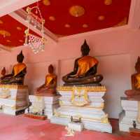 "วัดมหาธาตุวรวิหาร" 